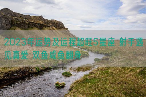 2023年运势及运程超旺5星座 射手遇见真爱 双鱼咸鱼翻身(图1)