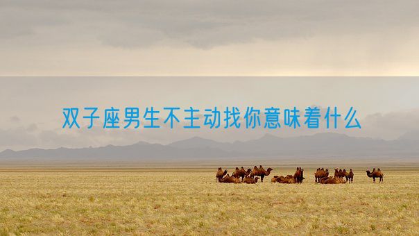 双子座男生不主动找你意味着什么(图1) 双子座男生不主动找你意味着什么(图1)