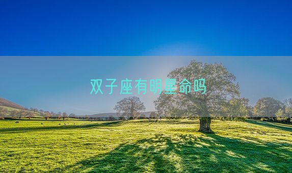 双子座有明星命吗(图1) 双子座有明星命吗(图1)
