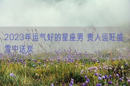 2023年运气好的星座男 贵人运旺盛 雪中送炭(图1)