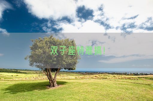 双子座特难搞！(图1)