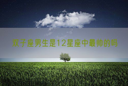 双子座男生是12星座中最帅的吗(图1) 双子座男生是12星座中最帅的吗(图1)