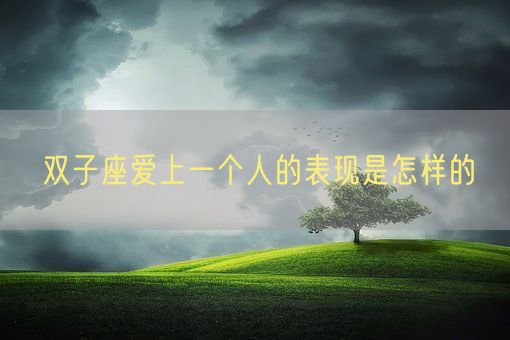 双子座爱上一个人的表现是怎样的(图1)