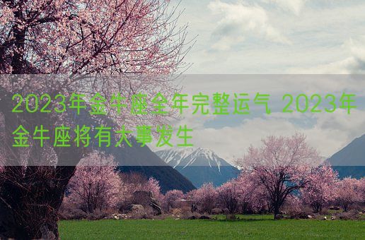 2023年金牛座全年完整运气 2023年金牛座将有大事发生(图1) 2023年金牛座全年完整运气 2023年金牛座将有大事发生(图1)