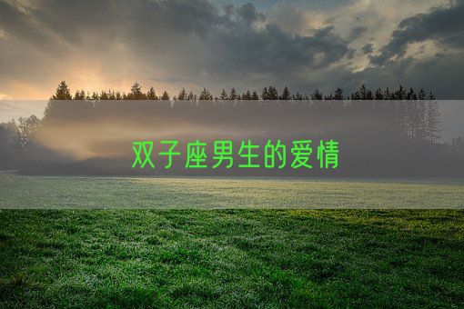 双子座男生的爱情(图1)