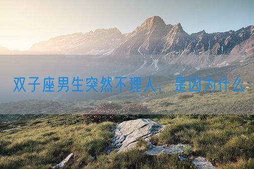 双子座男生突然不理人，是因为什么(图1)