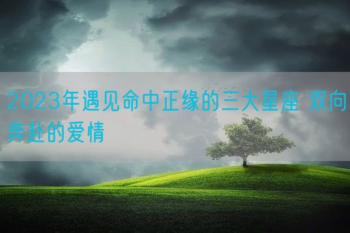 2023年遇见命中正缘的三大星座 双向奔赴的爱情(图1)