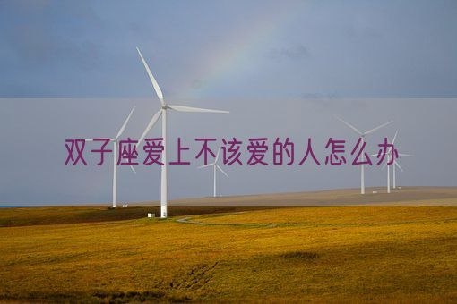 双子座爱上不该爱的人怎么办(图1)