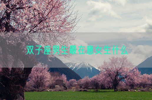 双子座男生最在意女生什么(图1)