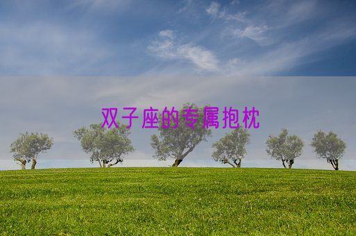双子座的专属抱枕(图1) 双子座的专属抱枕(图1)