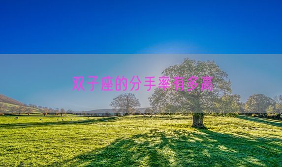 双子座的分手率有多高(图1) 双子座的分手率有多高(图1)