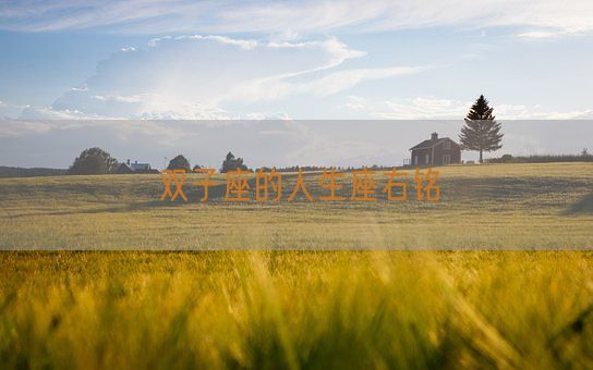 双子座的人生座右铭(图1) 双子座的人生座右铭(图1)