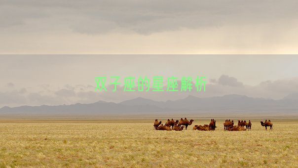 双子座的星座解析(图1) 双子座的星座解析(图1)