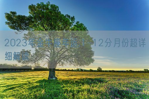 2023年金牛座年运,1-12分月份超详细解读(图1)