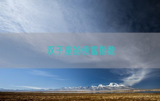 双子座的傍富指数(图1) 双子座的傍富指数(图1)
