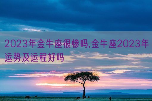 2023年金牛座很惨吗,金牛座2023年运势及运程好吗(图1) 2023年金牛座很惨吗,金牛座2023年运势及运程好吗(图1)
