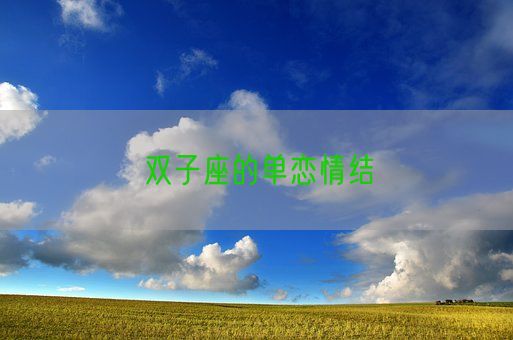 双子座的单恋情结(图1) 双子座的单恋情结(图1)