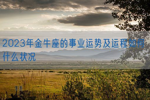 2023年金牛座的事业运势及运程如何 什么状况(图1) 2023年金牛座的事业运势及运程如何 什么状况(图1)