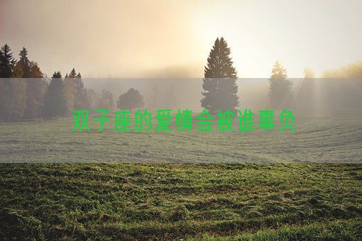 双子座的爱情会被谁辜负(图1) 双子座的爱情会被谁辜负(图1)