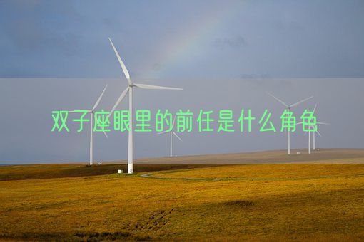 双子座眼里的前任是什么角色(图1) 双子座眼里的前任是什么角色(图1)