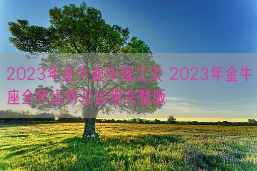 2023年金牛座牢狱之灾 2023年金牛座全年运势及运程完整版(图1) 2023年金牛座牢狱之灾 2023年金牛座全年运势及运程完整版(图1)