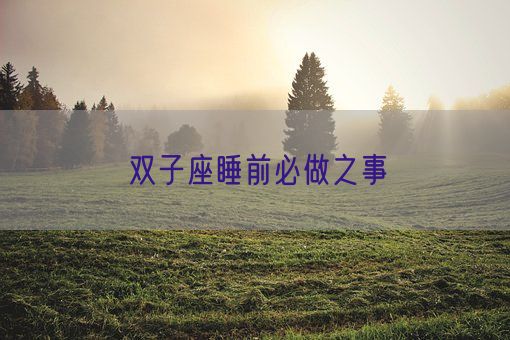 双子座睡前必做之事(图1) 双子座睡前必做之事(图1)