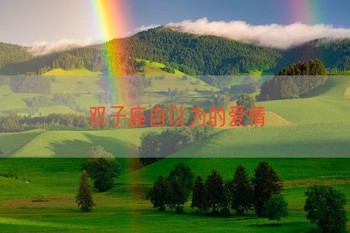 双子座自以为的爱情(图1) 双子座自以为的爱情(图1)