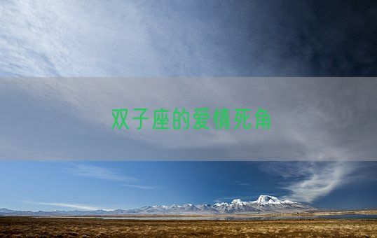 双子座的爱情死角(图1) 双子座的爱情死角(图1)