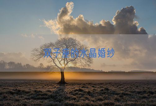 双子座的水晶婚纱(图1) 双子座的水晶婚纱(图1)