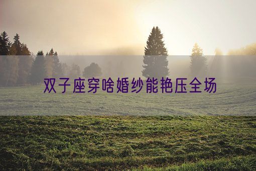 双子座穿啥婚纱能艳压全场(图1) 双子座穿啥婚纱能艳压全场(图1)