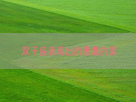 双子座表现出的愚蠢的爱(图1) 双子座表现出的愚蠢的爱(图1)