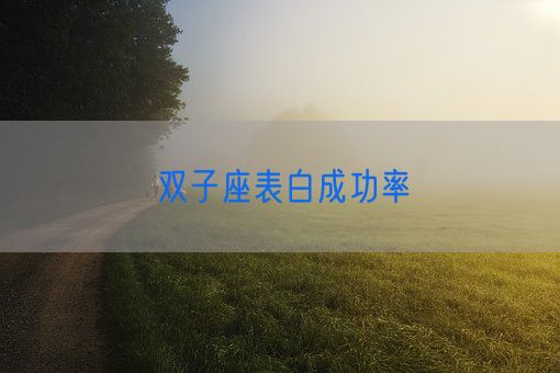 双子座表白成功率(图1) 双子座表白成功率(图1)