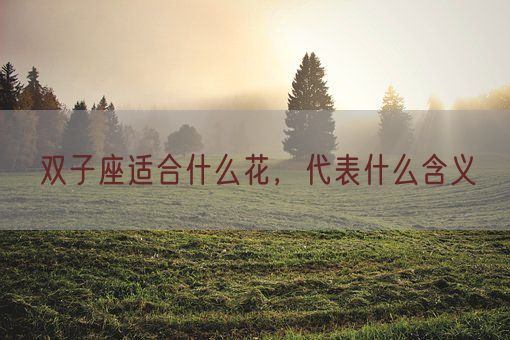 双子座适合什么花，代表什么含义(图1)