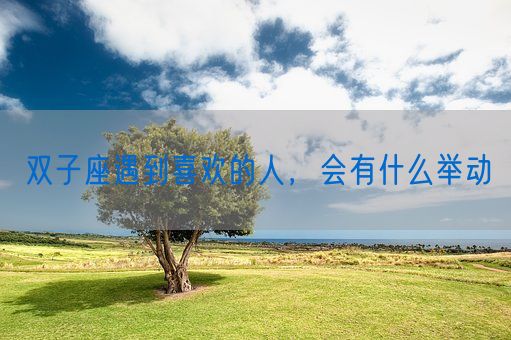 双子座遇到喜欢的人，会有什么举动(图1)