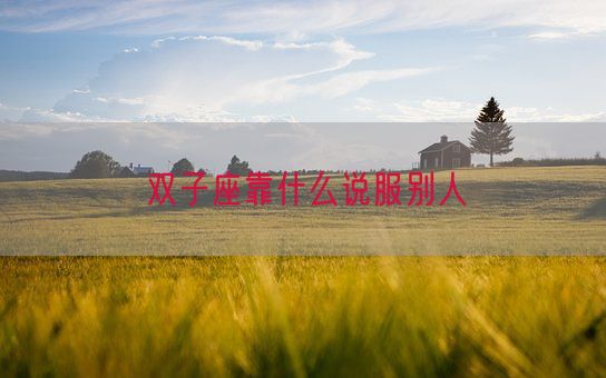 双子座靠什么说服别人(图1) 双子座靠什么说服别人(图1)