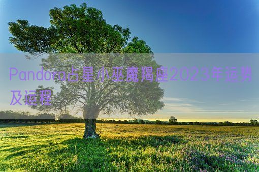 Pandora占星小巫魔羯座2023年运势及运程(图1)