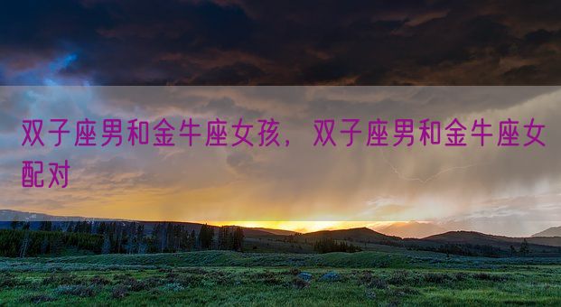 双子座男和金牛座女孩,双子座男和金牛座女配对(图1) 双子座男和金牛座女孩,双子座男和金牛座女配对(图1)