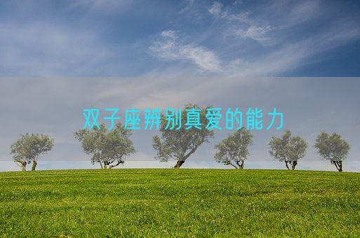 双子座辨别真爱的能力(图1) 双子座辨别真爱的能力(图1)