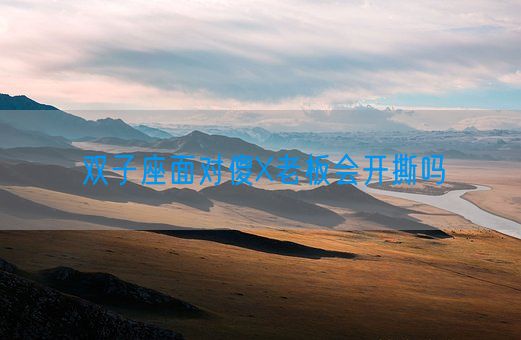 双子座面对傻X老板会开撕吗(图1) 双子座面对傻X老板会开撕吗(图1)