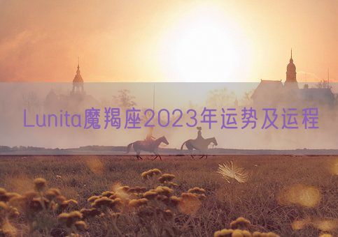 Lunita魔羯座2023年运势及运程(图1)