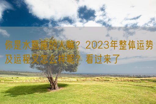 你是水瓶座的人嘛？2023年整体运势及运程又怎么样呢？看过来了(图1)