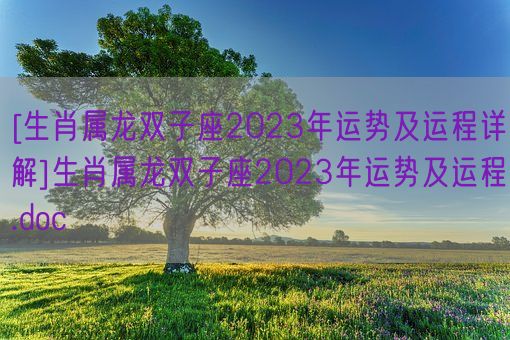 [生肖属龙双子座2023年运势及运程详解]生肖属龙双子座2023年运势及运程.doc(图1)