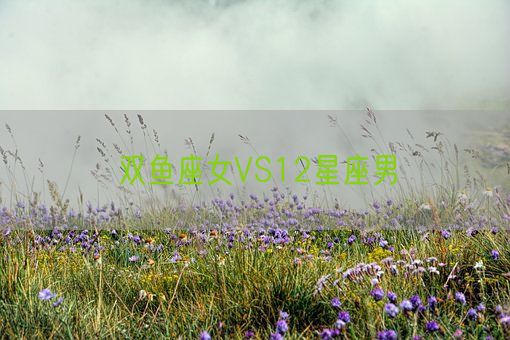 双鱼座女VS12星座男(图1)