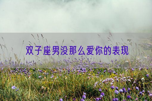 双子座男没那么爱你的表现(图1) 双子座男没那么爱你的表现(图1)