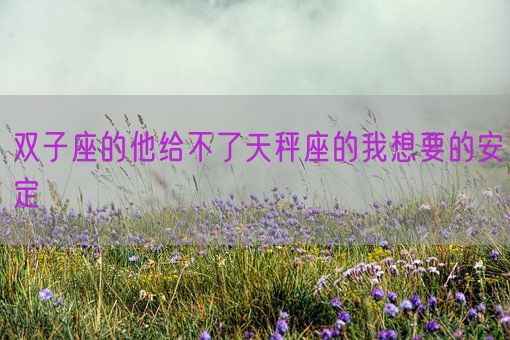双子座的他给不了天秤座的我想要的安定(图1)