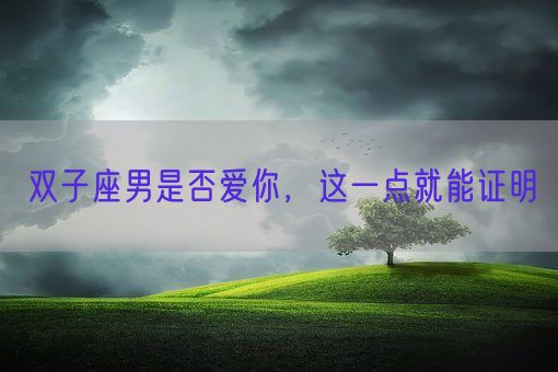双子座男是否爱你，这一点就能证明(图1)