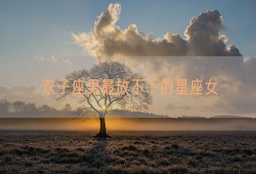 双子座男最放不下的星座女(图1)