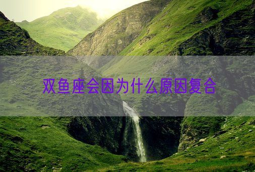 双鱼座会因为什么原因复合(图1)