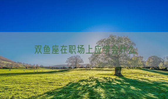 双鱼座在职场上应学会什么(图1)