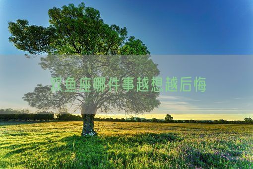 双鱼座哪件事越想越后悔(图1)